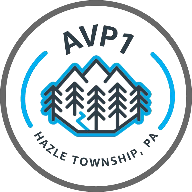Amazon AVP1 Logo
